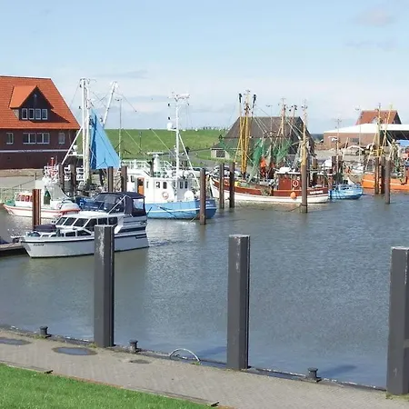 North Sea Oasis In The Albatross Tossens